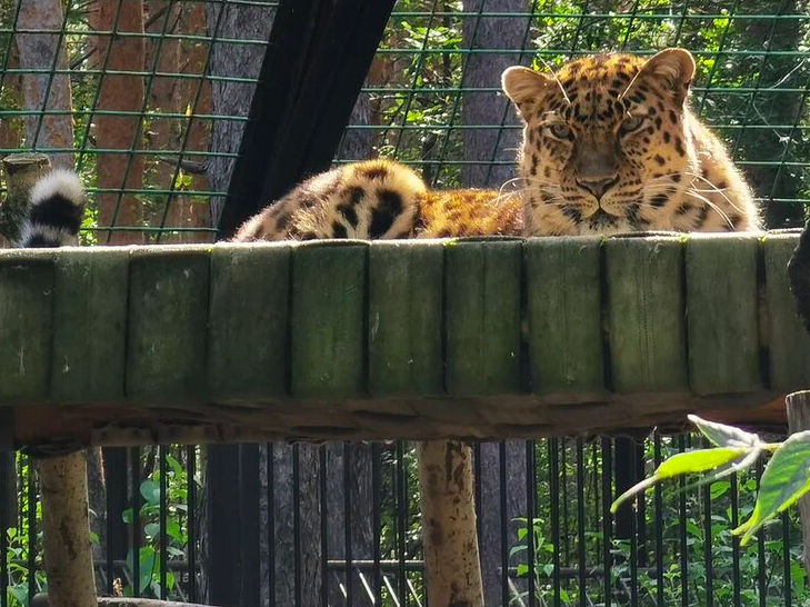 Фото Опубликовано семь невероятных фактов о Новосибирске 7